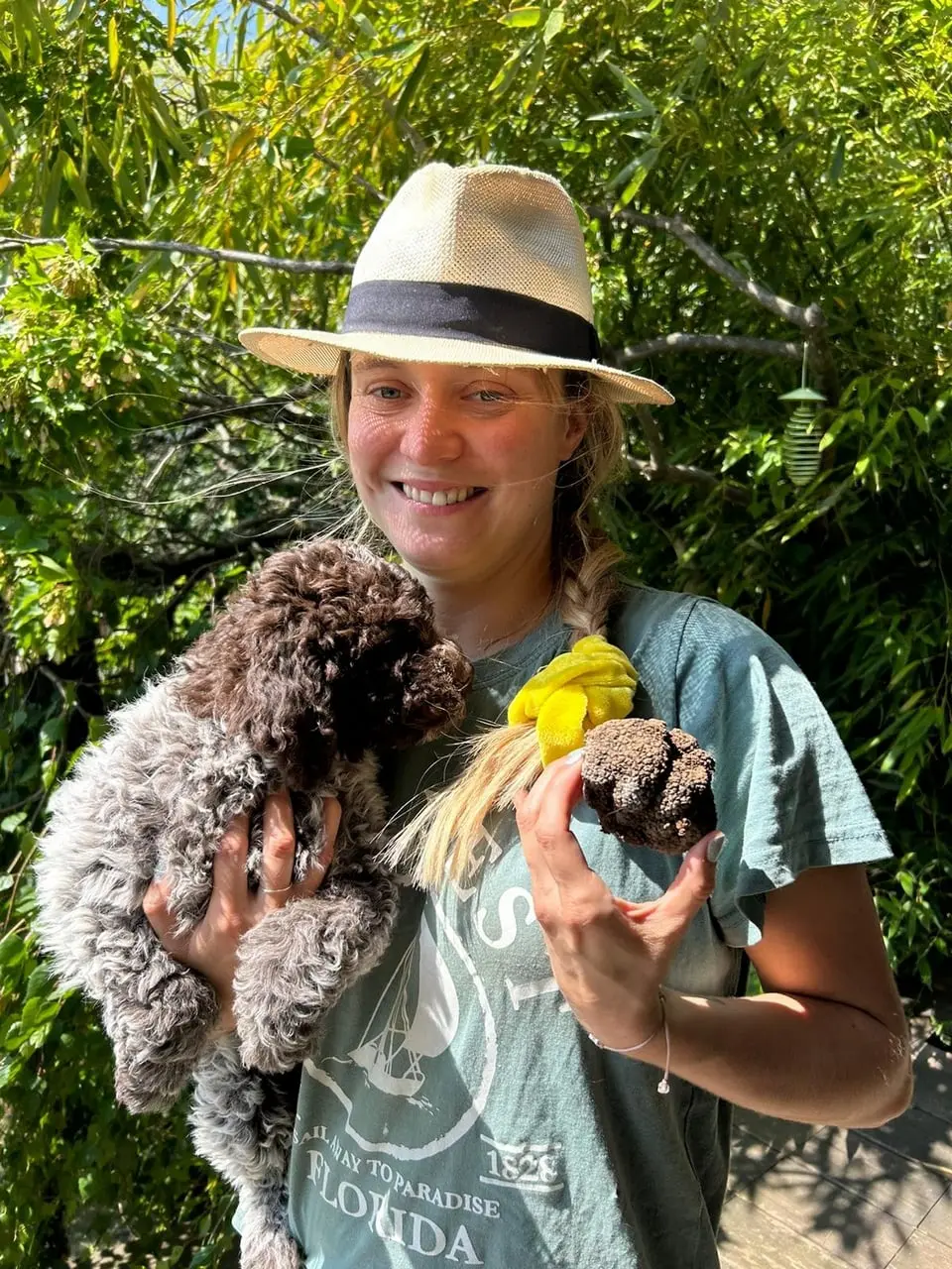 Le Lagotto Romagnolo du Domaine des Lys du Gaucho