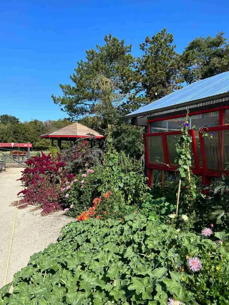 Le kiosque du Domaine des Lys du Gaucho à Fontaines