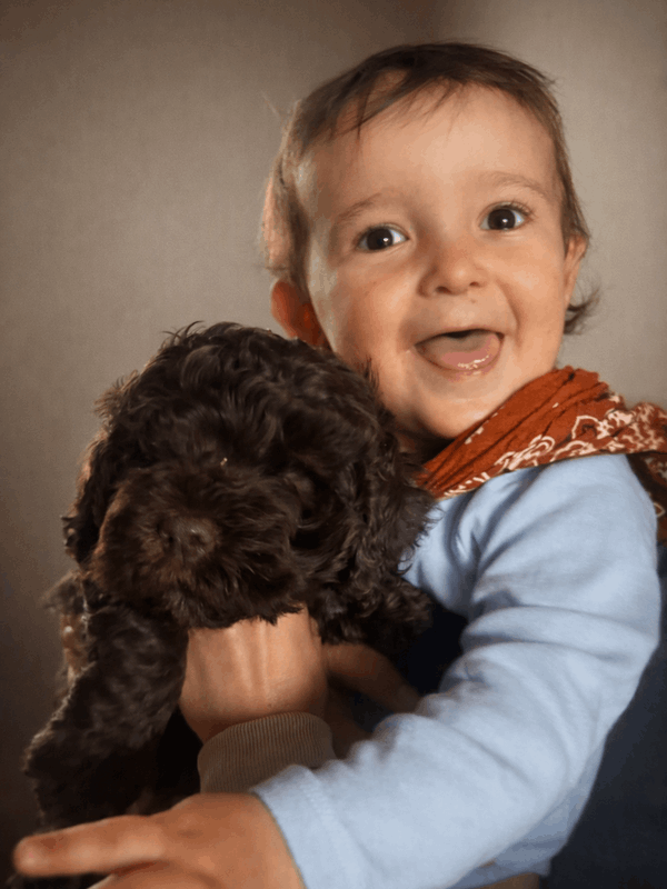 Lagotto-2026.18-Domaine des Lys du Gaucho à Fontaines
